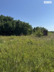 ��������� ������ ³�����, ³�������, ���������� ���� 11