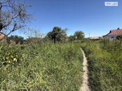 ��������� ������ ³������ ������, ³��������, ³������� ���� 11