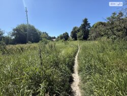 ��������� ������ ³������ ������, ³��������, ³������� ���� 3