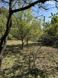 Продається ділянка Вінниця, Вінницька, П’ятничани фото 15 Продається ділянка Вінниця, Вінницька, П’ятничани фото 15