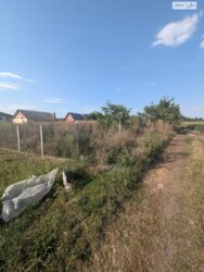 ��������� ������ ³�����, ³�������, ������ ���� 4