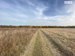 Продається ділянка Вінниця, Вінницька, Гніванське шосе фото 10 Продається ділянка Вінниця, Вінницька, Гніванське шосе фото 10