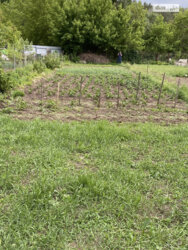 ��������� ������ ³�����, ³�������, ������ ���� 2