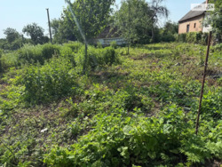 ��������� ������ ����.1-� ���������, ���� -�����������, ³��������, ³������� ���� 1