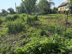 ��������� ������ ����.1-� ���������, ���� -�����������, ³��������, ³������� ���� 7