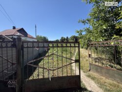 ��������� ������ ³������ ������, ³��������, ³������� ���� 16