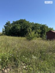 ��������� ������ ³�����, ³�������, ���������� ���� 7