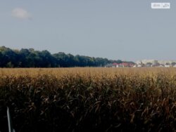 ��������� ������ ³�����, ³�������, ������ ���� 3