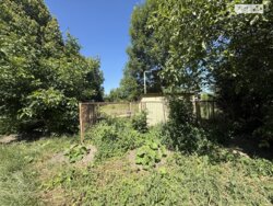 ��������� ������ ³������ ������, ³��������, ³������� ���� 6