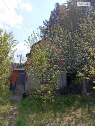 ��������� ������ ��� �������� �����,, ³�����, ³�������, ������� ���� ���� 3