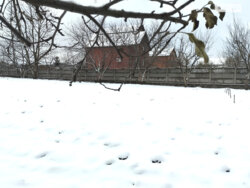 ��������� ������ ³�����, ³�������, �������� ���� 4