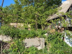 ��������� ������ ³�����, ³�������, ������ ���� 3