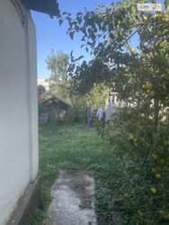 ��������� ������ ³�����, ³�������, �������� ���� 19