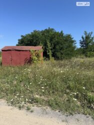 ��������� ������ ��������, ³��������, ³������� ���� 8