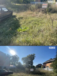 ��������� ������ ³�����, ³�������, ����������� ���� 2