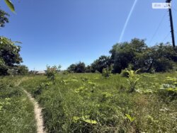 ��������� ������ ³������ ������, ³��������, ³������� ���� 8