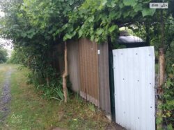 Продається ділянка Петрик, Литинський, Вінницька фото 1 Продається ділянка Петрик, Литинський, Вінницька фото 1