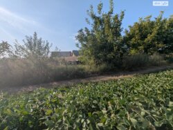 ��������� ������ ³�����, ³�������, ������ ���� 3