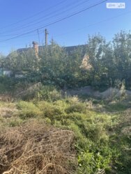 ��������� ������ ³�����, ³�������, �������� ���� 5