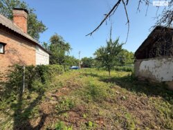 ��������� ������ ����.1-� ���������, ���� -�����������, ³��������, ³������� ���� 16