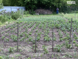 ��������� ������ ³�����, ³�������, ������ ���� 1