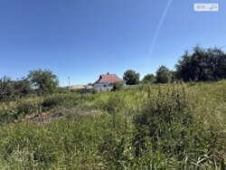 ��������� ������ ³������ ������, ³��������, ³������� ���� 13