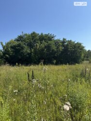 ��������� ������ ³�����, ³�������, ���������� ���� 4