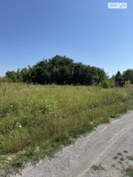 ��������� ������ ��������, ³��������, ³������� ���� 10