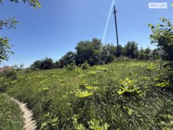 ��������� ������ ³������ ������, ³��������, ³������� ���� 7