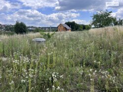 ��������� ������ ³�����, ³�������, ����� ���� ���� 8