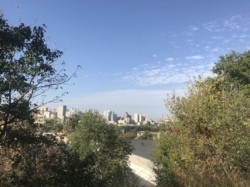  20 ,  ,    1