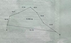   43 .  ,    !  1
