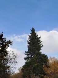 Продається ділянка Харківська, Харків, Шевченківський, АЛЕКСЕЕВКА, Науки пр., м. Олексіївська фото 10 Продається ділянка Харківська, Харків, Шевченківський, АЛЕКСЕЕВКА, Науки пр., м. Олексіївська фото 10