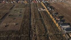 Продаж земельних ділянок с.Струмівка фото 6 Продаж земельних ділянок с.Струмівка фото 6