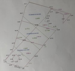 ������ ������� ������ �� ���. ʳ���������� ���� 4