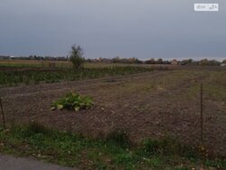 ��������� ������ ������, ����, ���������, ����� ���� 1