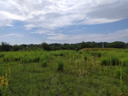 Земельна ділянка р-н Птахофабрики фото 6 Земельна ділянка р-н Птахофабрики фото 6