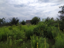 Земельна ділянка р-н Птахофабрики фото 9 Земельна ділянка р-н Птахофабрики фото 9