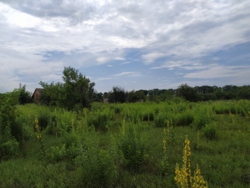 Земельна ділянка р-н Птахофабрики фото 5 Земельна ділянка р-н Птахофабрики фото 5