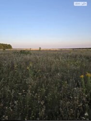 Продається ділянка Вінницька, Вінниця, Барське шосе фото 3 Продається ділянка Вінницька, Вінниця, Барське шосе фото 3