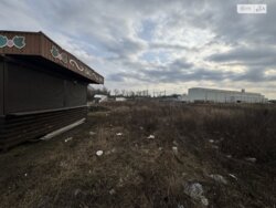 ��������� ������ �����, ³�����, ³�������, ����� ���� 7