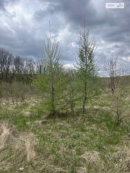 ��������� ������ ���������, ³�����, ³�������, ����� ���� ���� 4