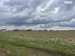 ��������� ������ ���������, ³�����, ³�������, ����� ���� ���� 5