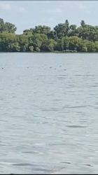 ��������� ������ �������, ³�����, ³������� ���� 2