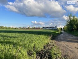 ��������� ������ �����������, ³�����, ³�������, ϳ����������� ����� ���� 2