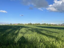 ��������� ������ �����������, ³�����, ³�������, ϳ����������� ����� ���� 3