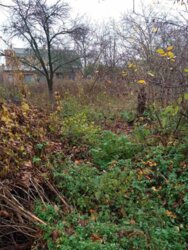 Продається ділянка Вінницька, Вінниця, Бучми, Івана Пулія фото 3 Продається ділянка Вінницька, Вінниця, Бучми, Івана Пулія фото 3