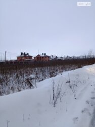 ��������� ������ �������, ³�����, ³�������, ������ ���� 7