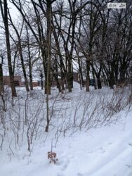 ��������� ������ �������, ³�����, ³�������, ������ ���� 6