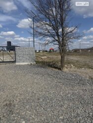 ��������� ������ ����������, ³�����, ³�������, ����� ���� ���� 6